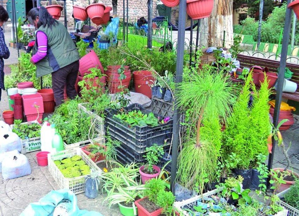 Primavera se abre con la Feria de las Flores