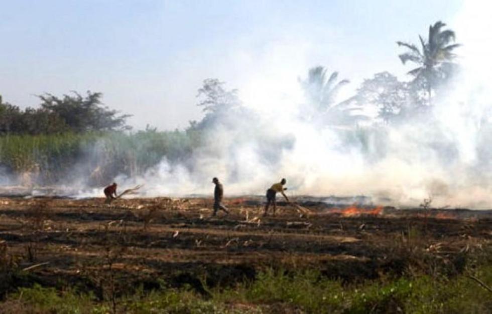 Reportan 14.500 focos de calor en septiembre por desmontes