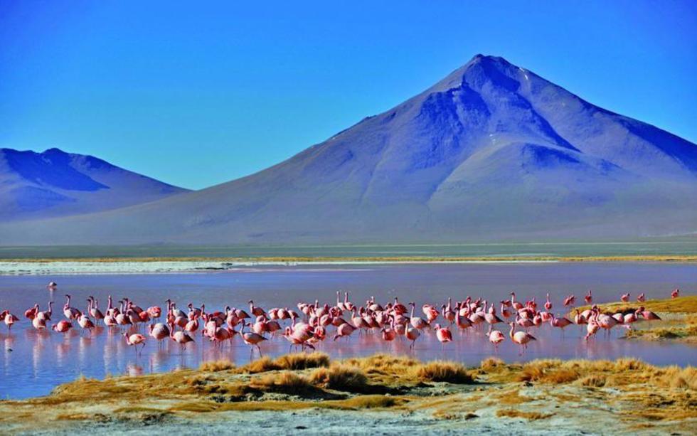 Alertan que 20 de las  22 áreas protegidas de Bolivia están en riesgo 