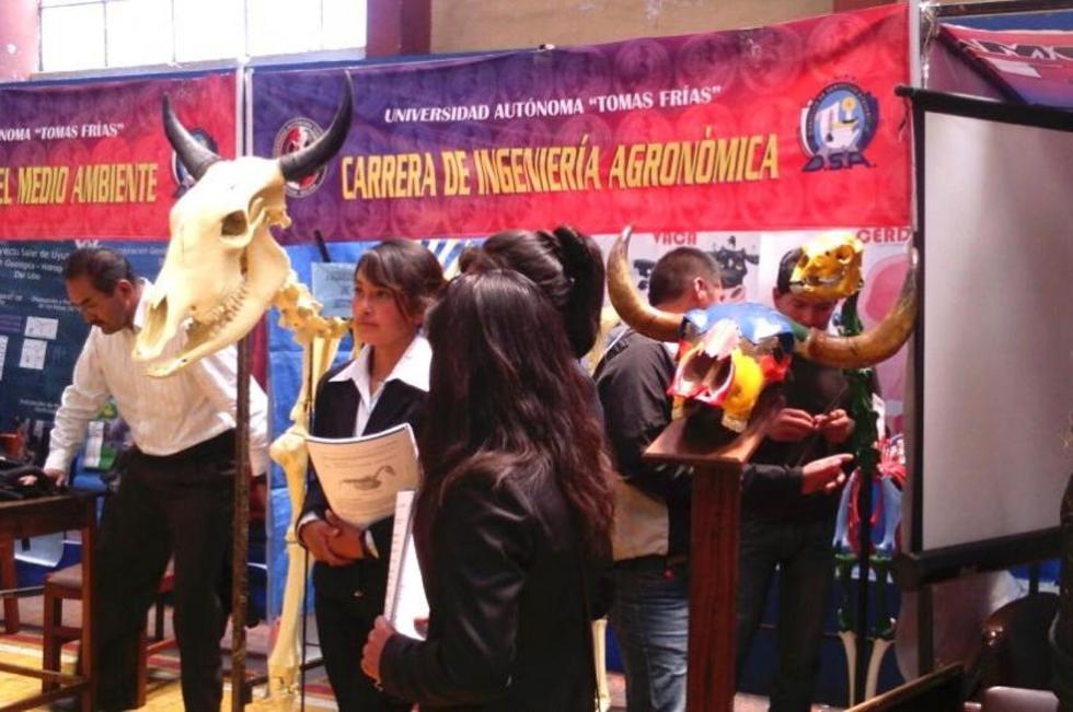 La Universidad Tomás Frías realiza oferta académica de más de 30 carreras