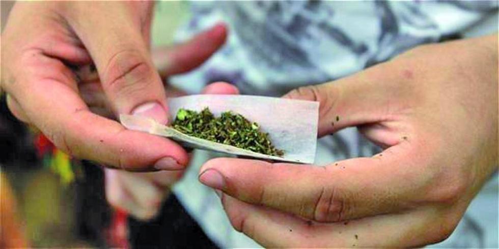 Colombia se alista para legalizar la marihuana para su uso medicinal