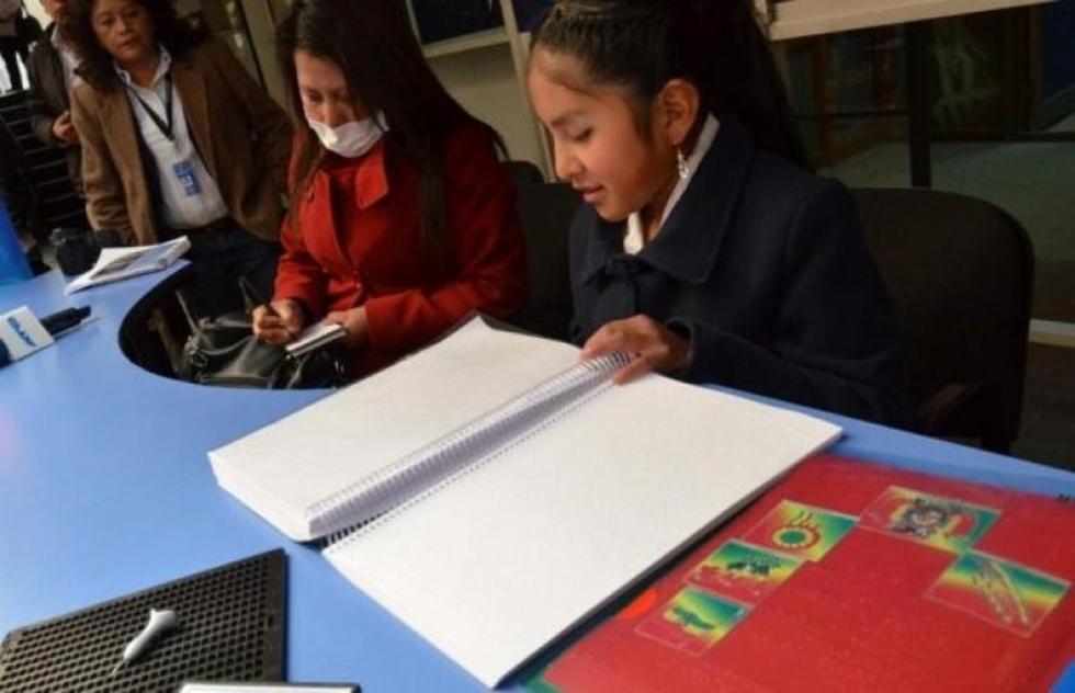Personas con discapacidad grave podrán ser educadas en su casa desde 2016