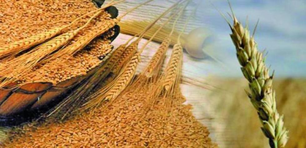Anapo califica el 2015 de “mal año” por caída de precios en 26 %
