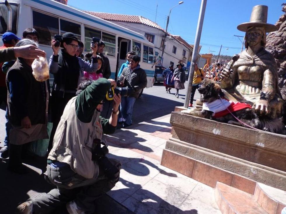 Los defensores de los animales pelean por el perro Petardo