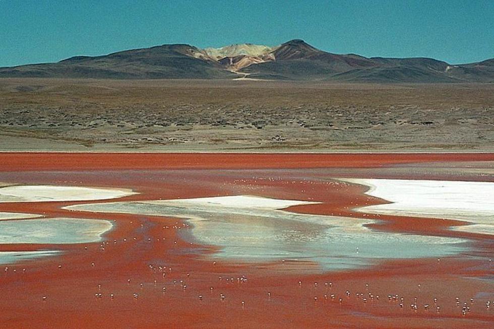 Se incrementa la pérdida de agua en Laguna Colorada