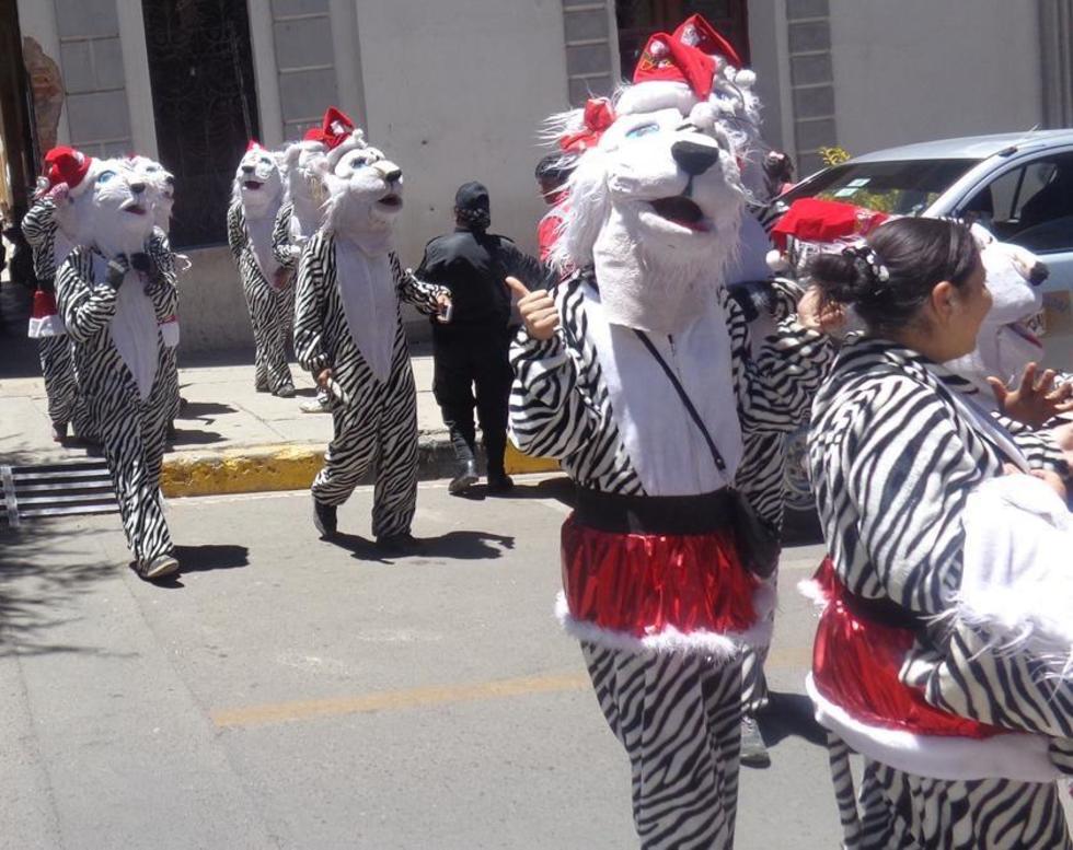 Los Tigritos adornan sus atuendos 