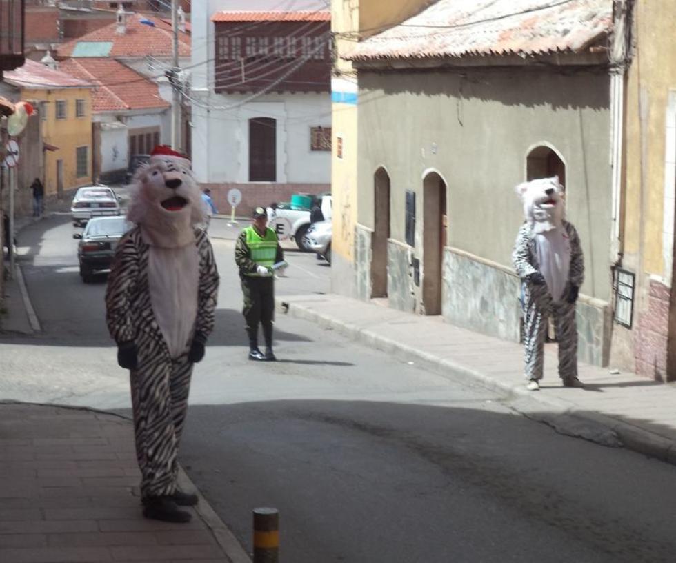 Tigritos inician una campaña en Potosí 