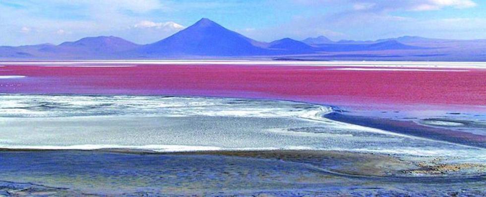 El 50 por ciento de la Laguna Colorada ya  se habría secado