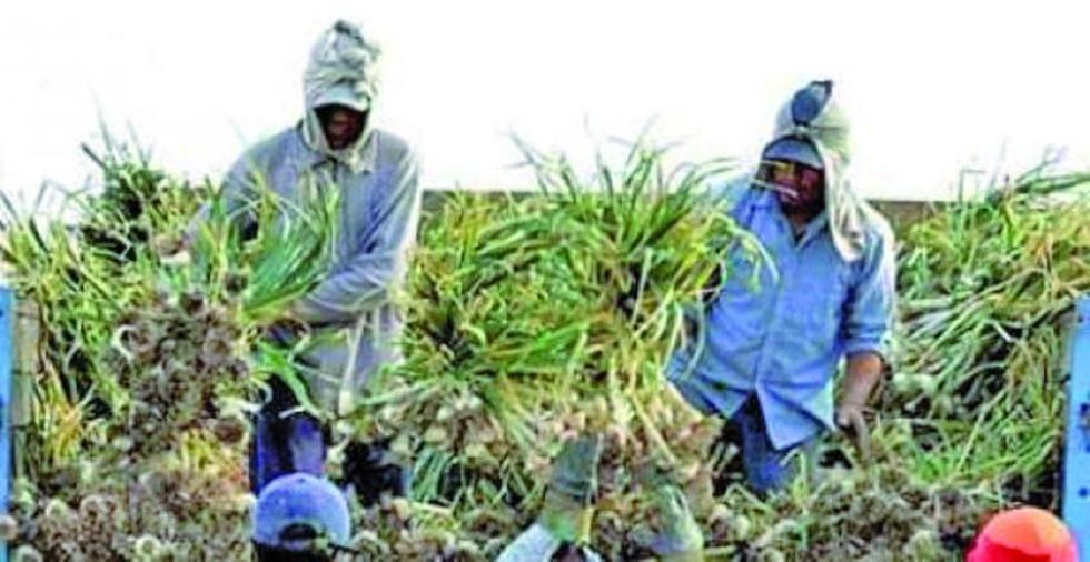Rescatan a bolivianos explotados víctimas de trata y tráfico en Argentina