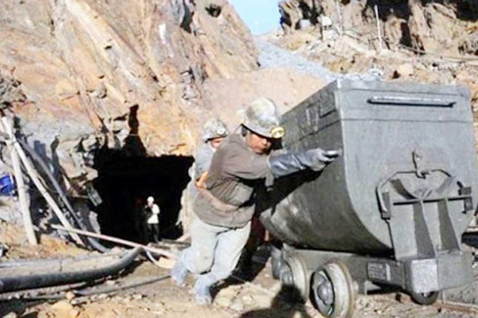 Fencomin pide que Gobierno compre su producto y cierre comercializadoras