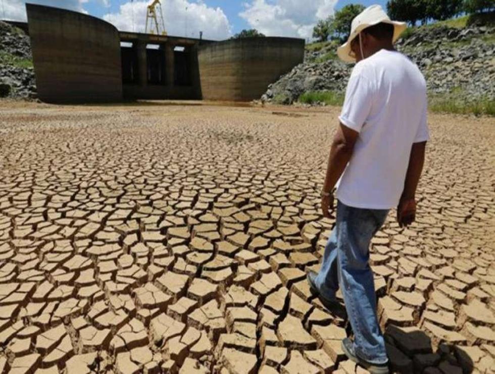 Hay más de 5.500 ha agrícolas damnificadas por fenómeno El Niño