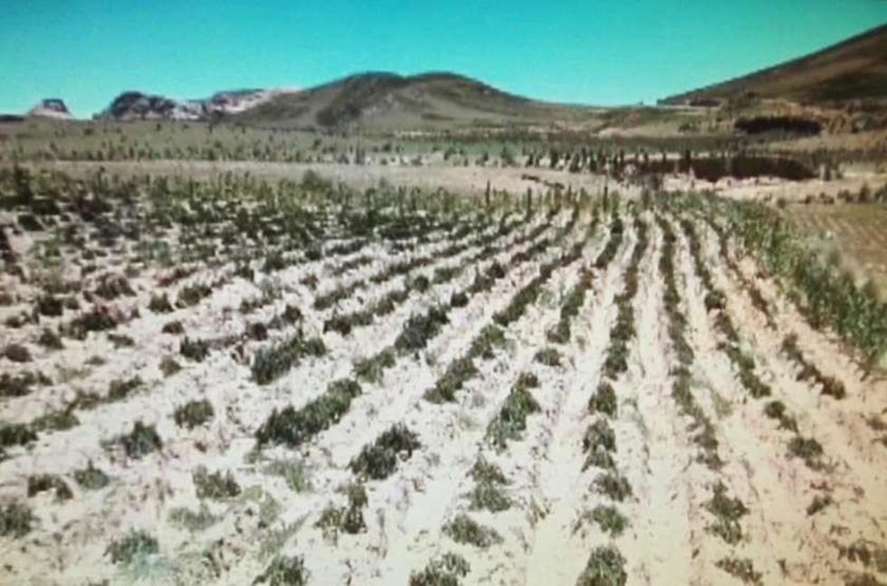 Reportan más comunidades afectadas en jurisdicción municipal