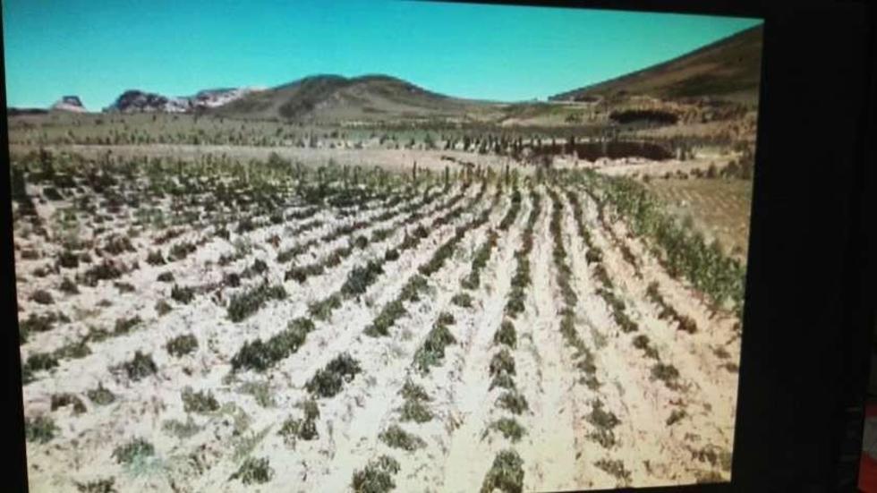 Demandan atender las emergencias climáticas