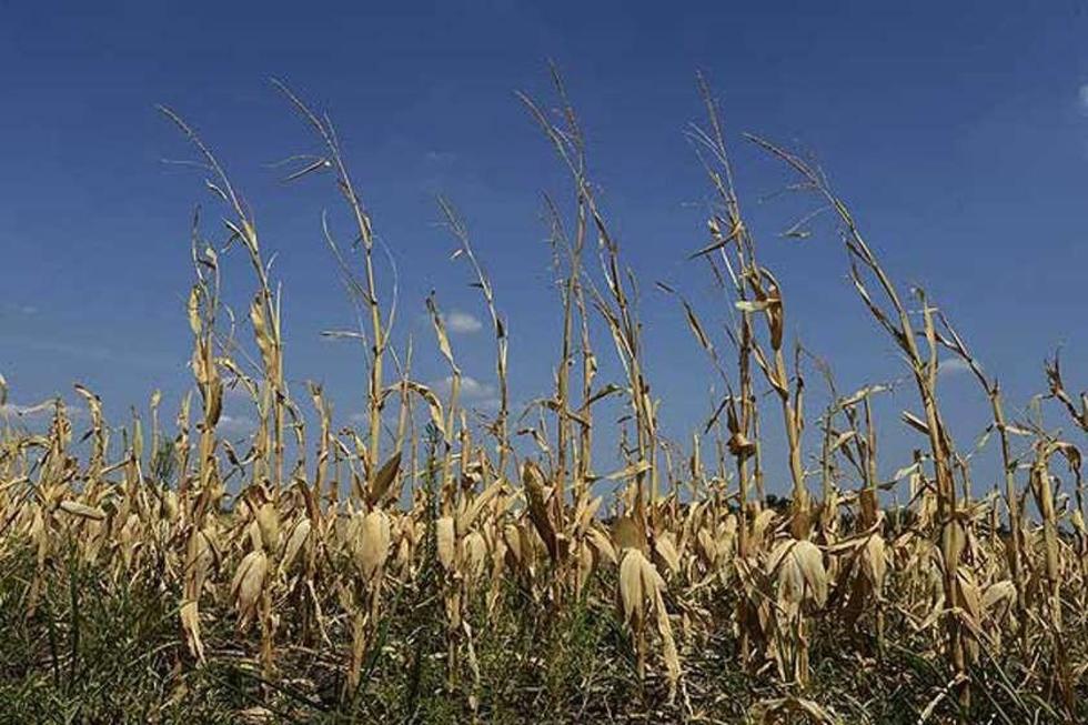 Sedes supervisa efectos de El Niño