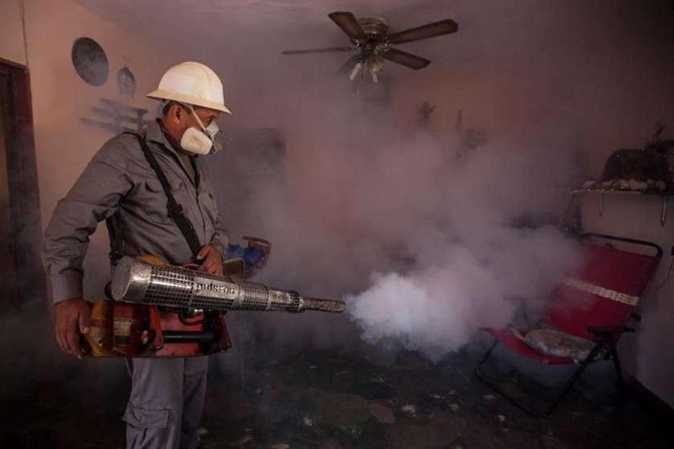 OMS teme que el virus del Zika afecte a 4 millones en América