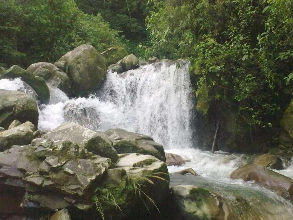 En el Chapare cochabambino mueren los peces a falta de lluvias