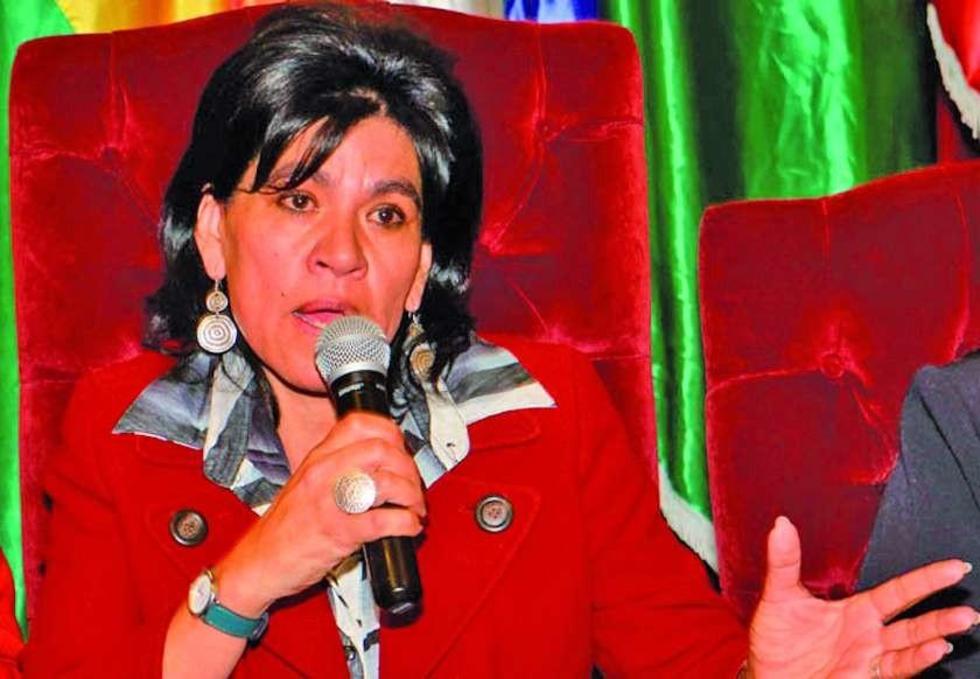 Cien veedores externos vigilarán el referendo del 21 en Bolivia