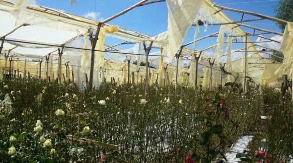 Siete departamentos están en emergencia por efectos de El Niño  