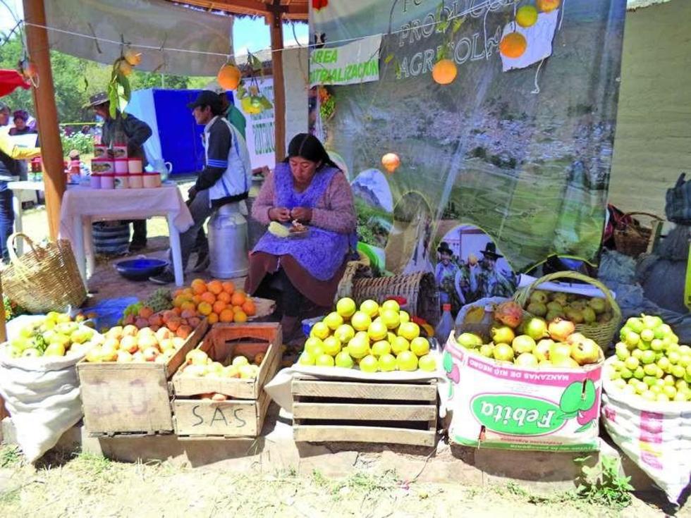 Hoy abren sexta feria productiva