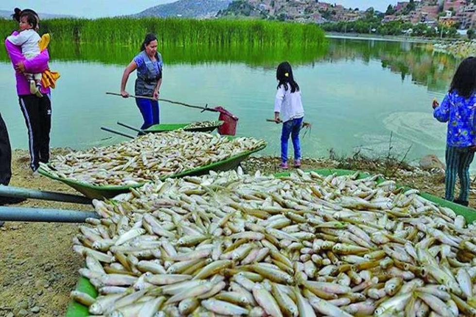 El nivel de las aguas de la laguna Alalay se ha reducido en 50 %