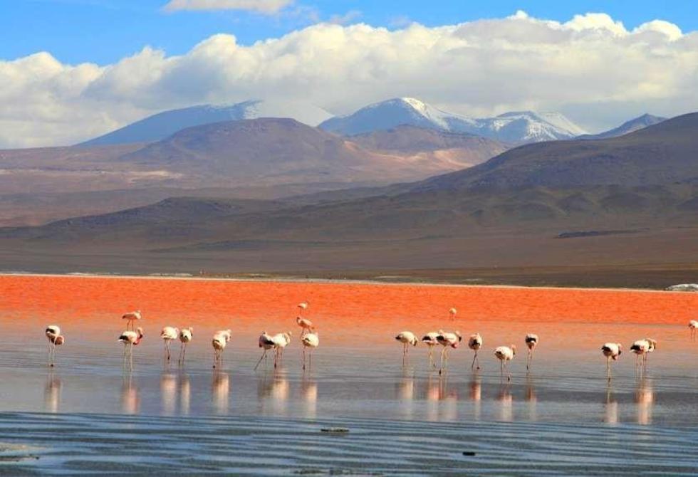 Trasladarán agua desde Huaylla Jara hasta la Laguna Colorada 