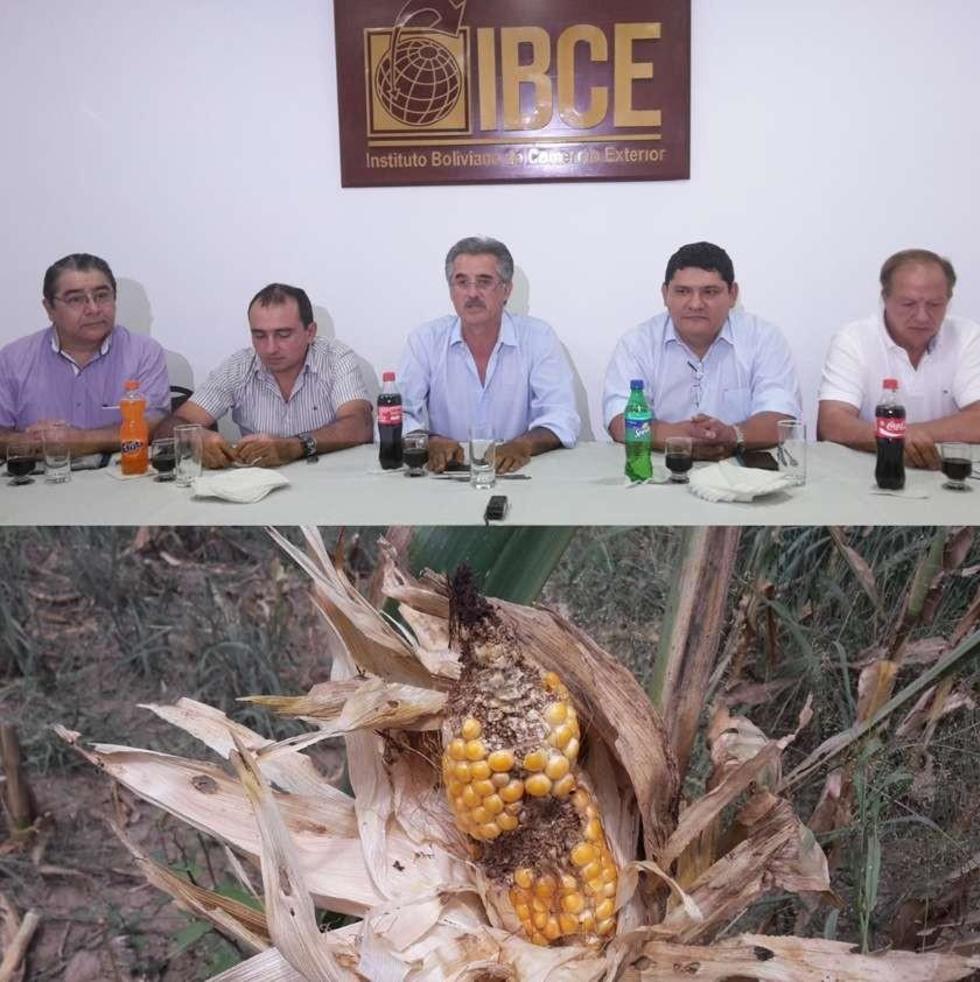Productores piden al Gobierno la liberación de exportaciones