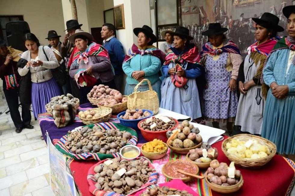 El domingo será la cuarta versión de la Feria Agrícola de Chasquivillque
