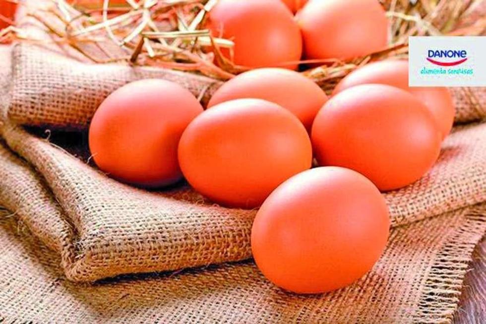 Resuelven  el misterio del huevo y la gallina