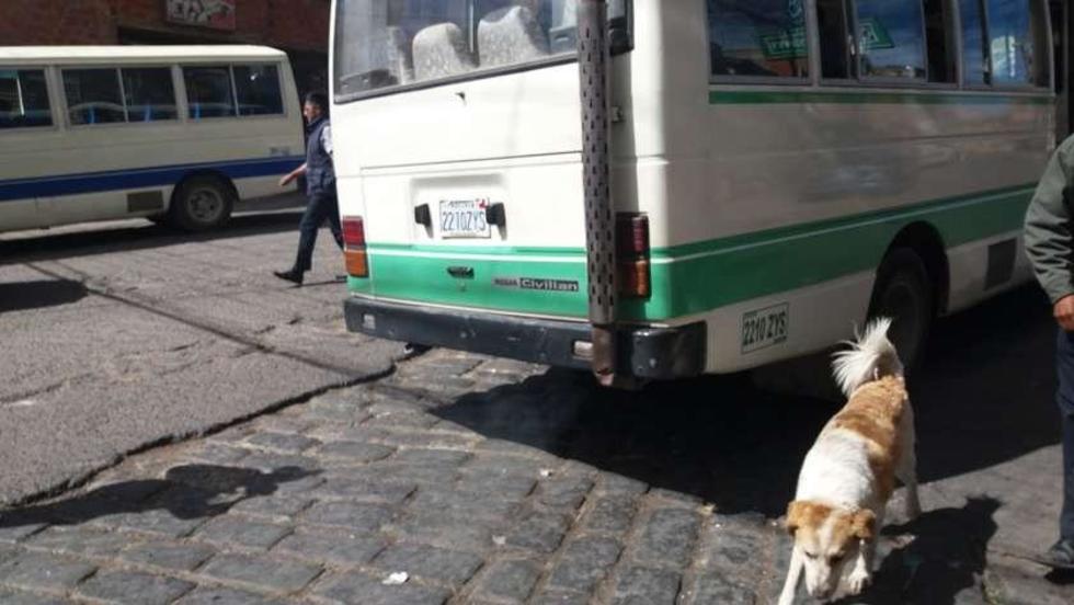 Vecinos se quejan por alta contaminación de micros