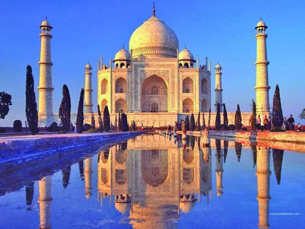 El Taj Mahal tiene amenaza de insecto