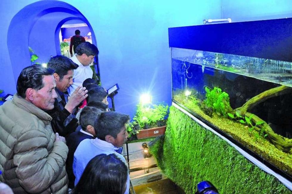 La Caja de Agua es ahora acuario