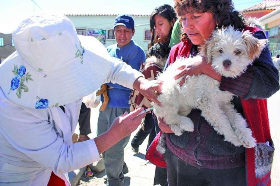 Vacunarán contra la rabia el 12 de junio