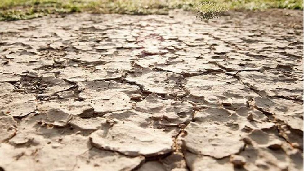 Más de 350 familias guaraníes están afectadas por la sequía