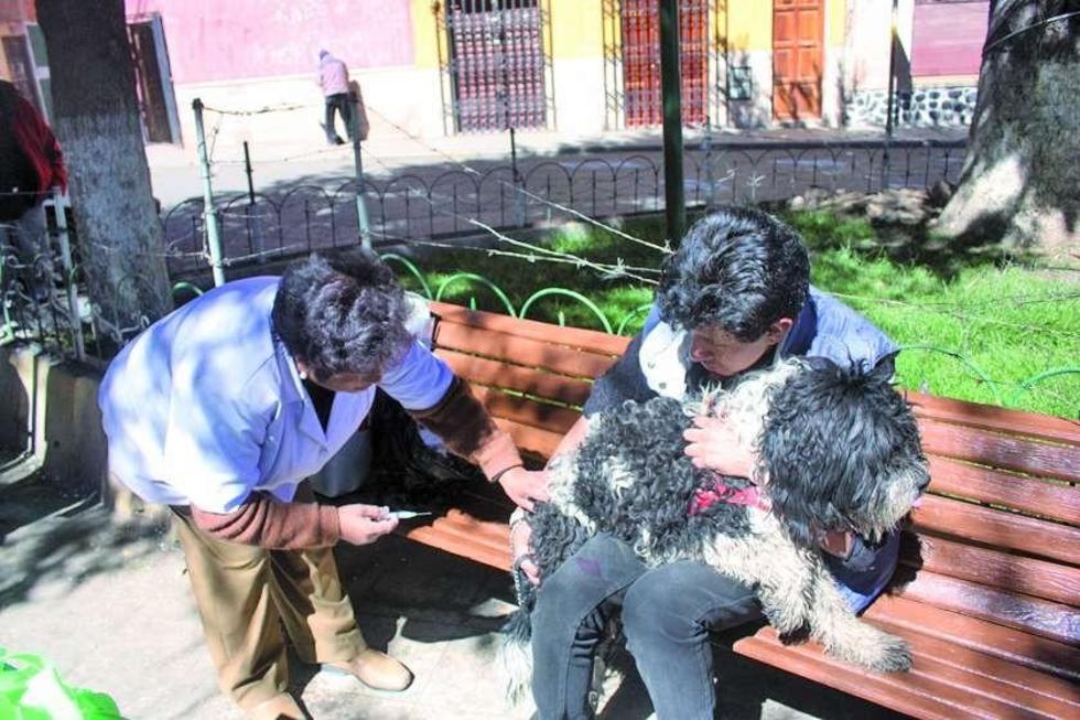 Cerca de 190 mil dosis de vacunas antirrábicas serán aplicadas hoy