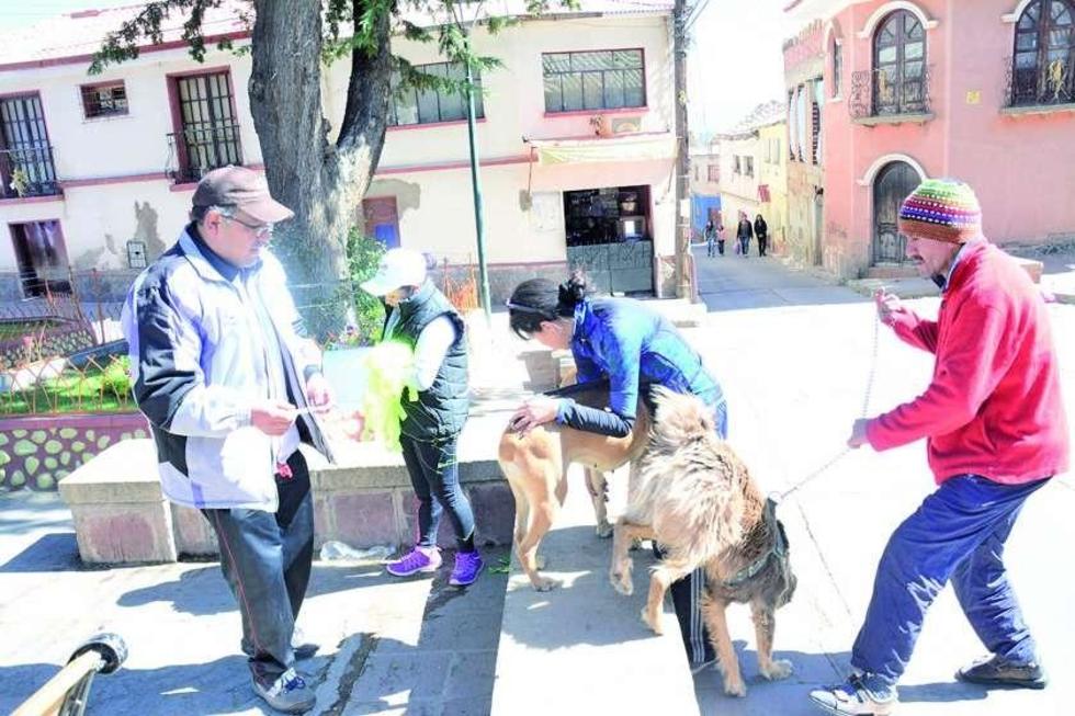 Inmunizarán contra la rabia esta semana