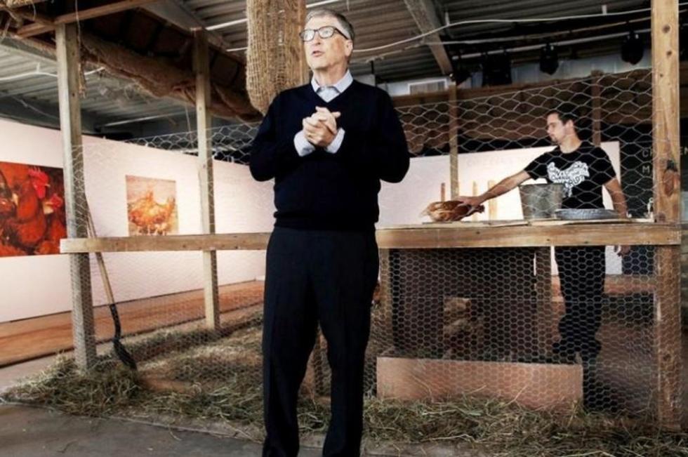 Ministro Cocarico rechaza donación de gallinas de Bill Gates 