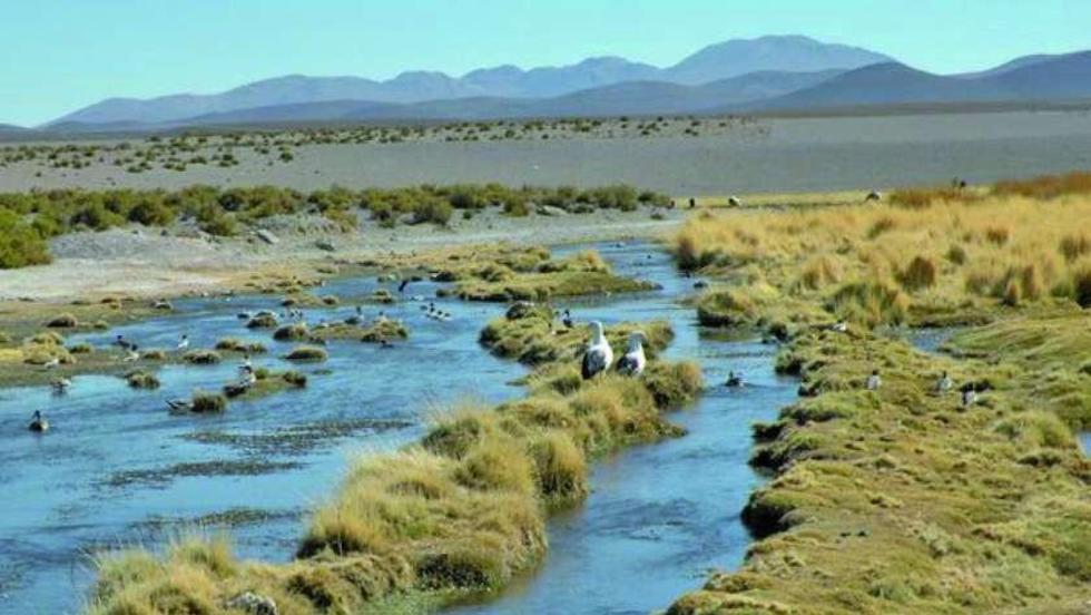 CIJ notifica a Bolivia el contenido del proceso de Chile por el Silala