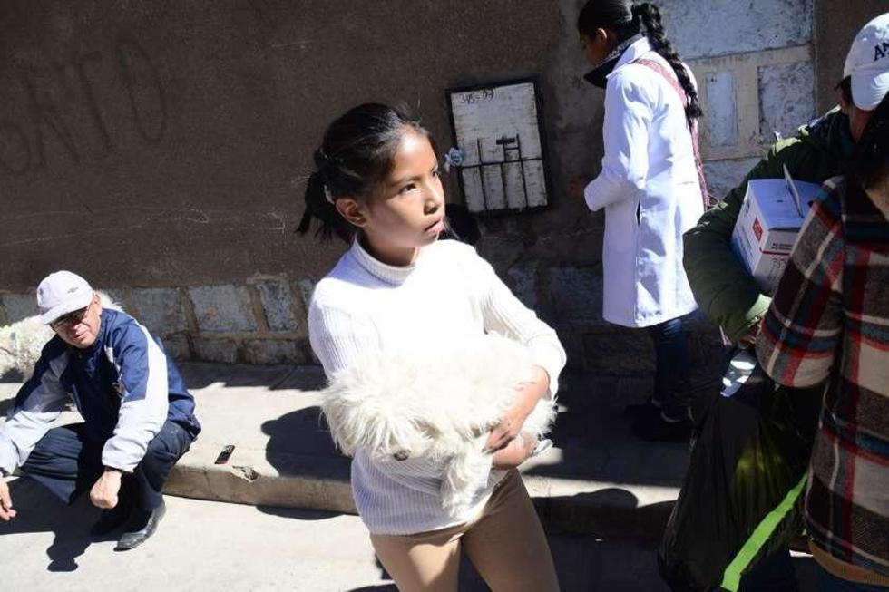 Aún vacunan a perros en las comunidades alejadas