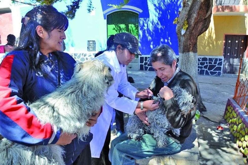 Aún vacunan contra la rabia en varios sectores alejados 