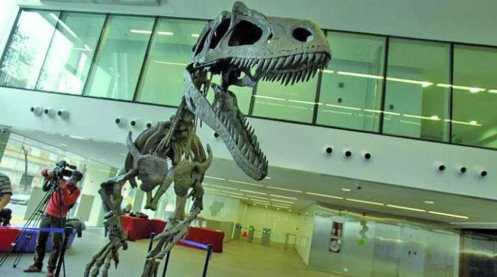 Presentan un dinosaurio carnívoro de la Patagonia