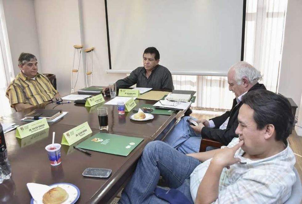La FBF busca designar al DT