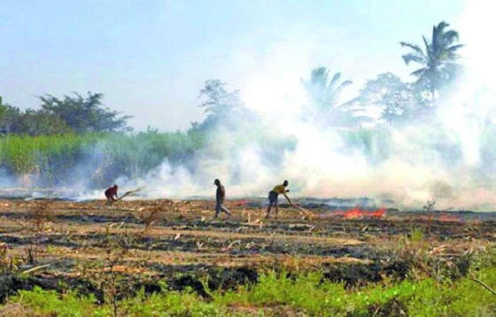 Beni: hay más de mil focos de calor y alarma por humo