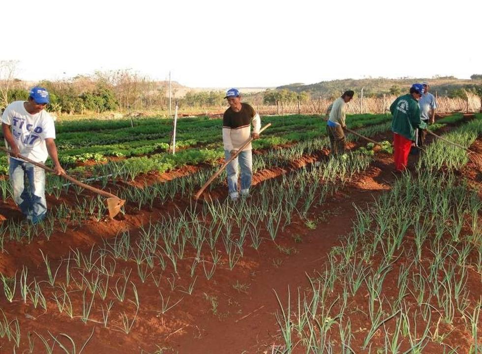Estudio advierte que la seguridad alimentaria está en riesgo en Bolivia