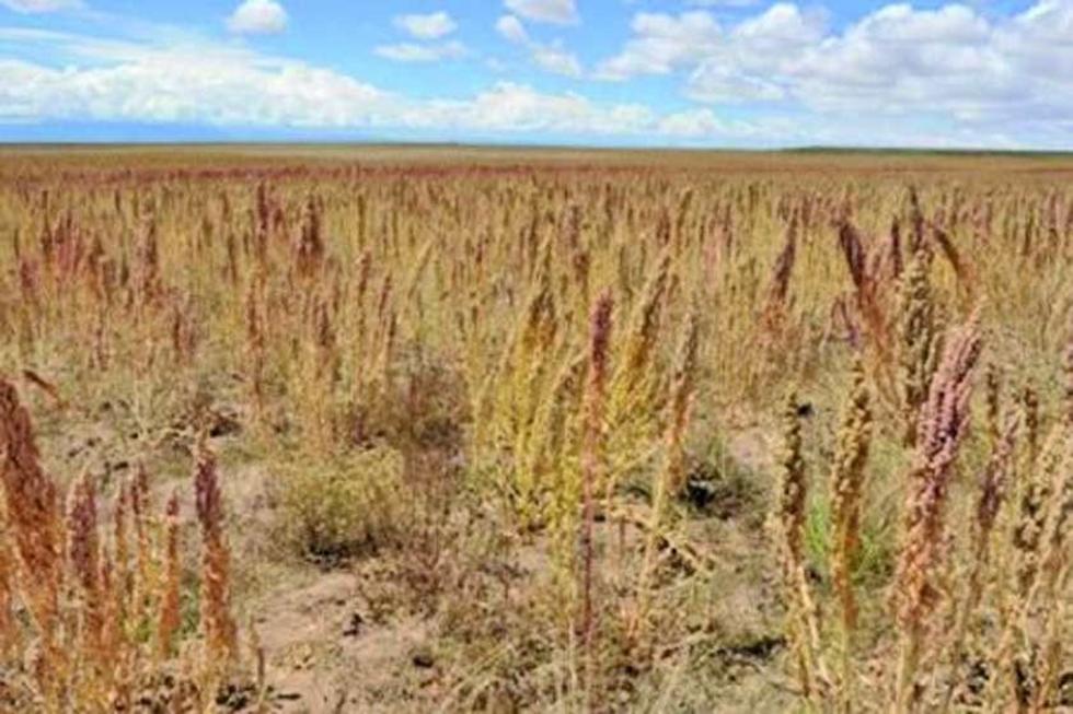 La sequía continúa afectado al sudoeste