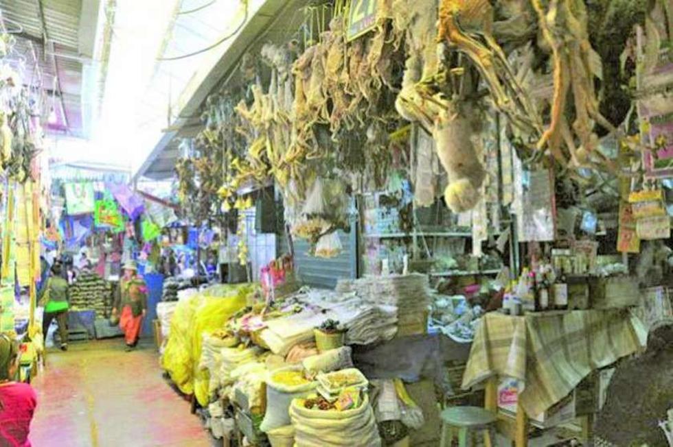 El sacrificio de animales se  usa en medicina tradicional