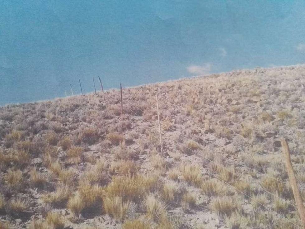 Orureños se apropian del área más grande de caliza de Potosí