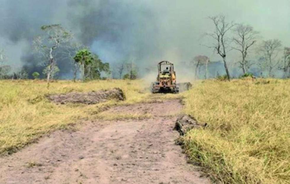 Alertan que la sequía ocasiona estragos y pérdida de recursos