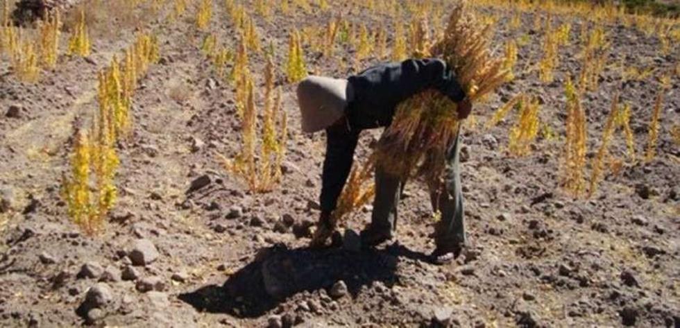 Villazón y Quetena son golpeadas por fuerte sequía en el Departamento
