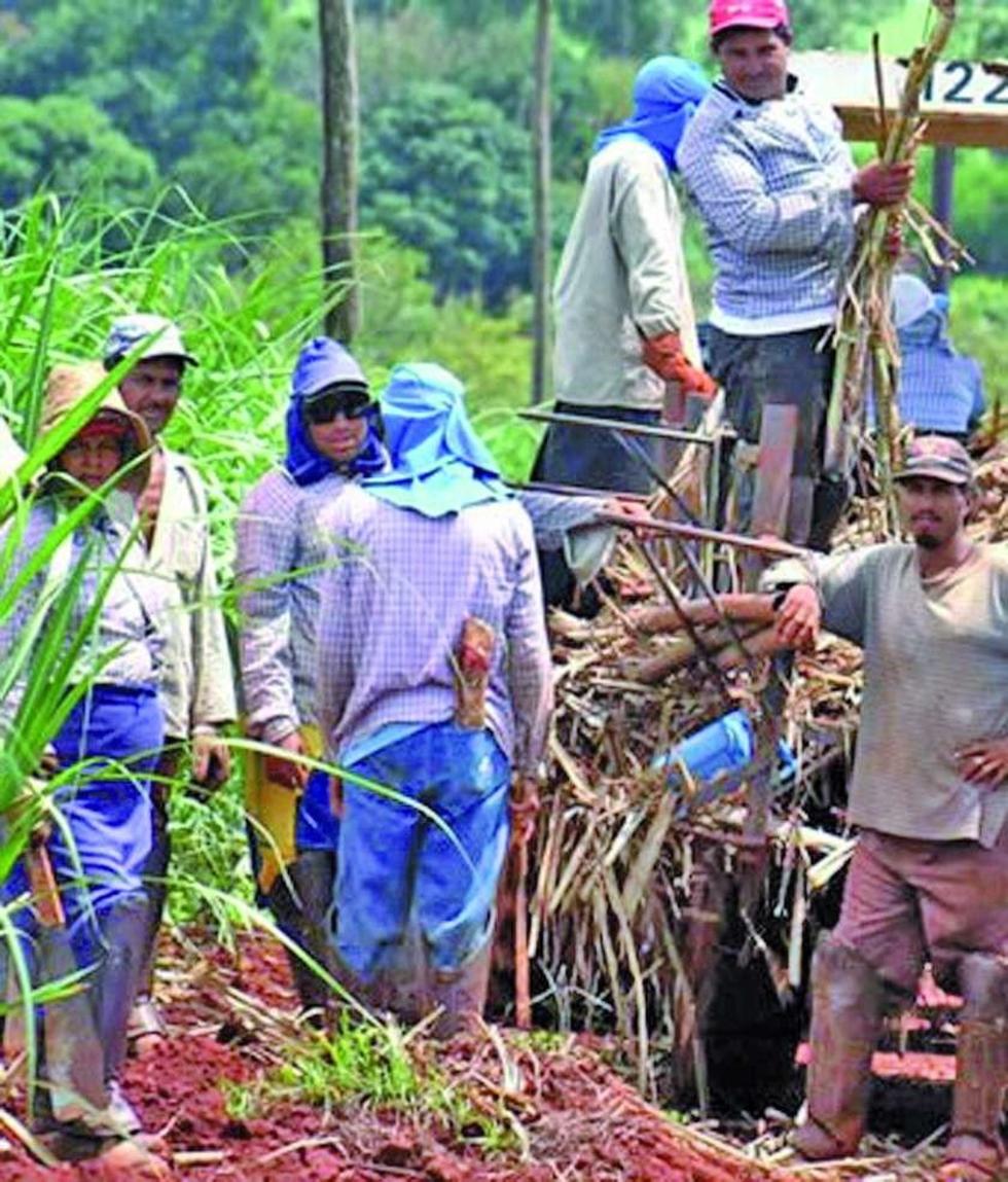 Los cañeros garantizan el suministro de azúcar