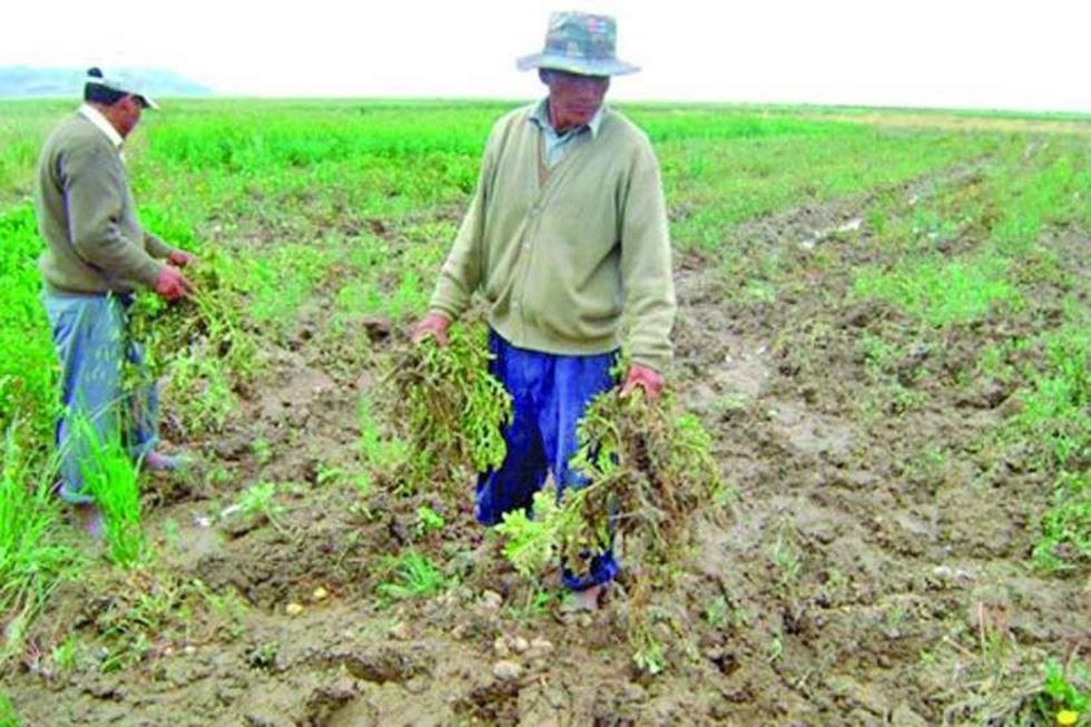 El cambio climático afectó  a más de 33 mil familias